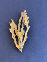 F82B764F-498A-4E9E-AE0A-BFD0136BF0F5