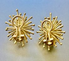 ED460520-C95A-43F4-8FF3-D8D6E5179AF9_1_201_a