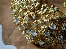 FF76A19D-D89D-4980-BD37-FBA678A87A08_1_201_a