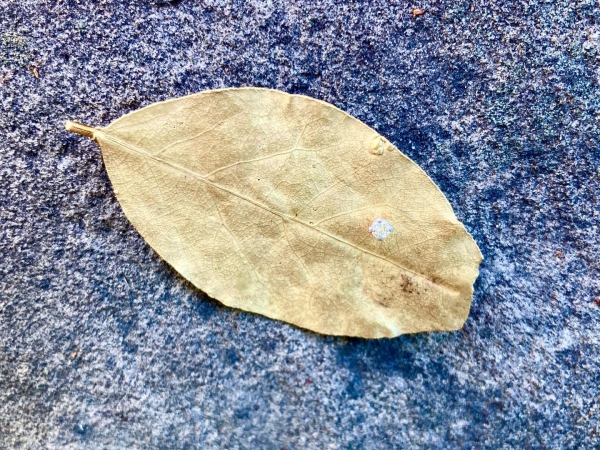 9DFB6352-776C-4299-9A17-3420AF337426