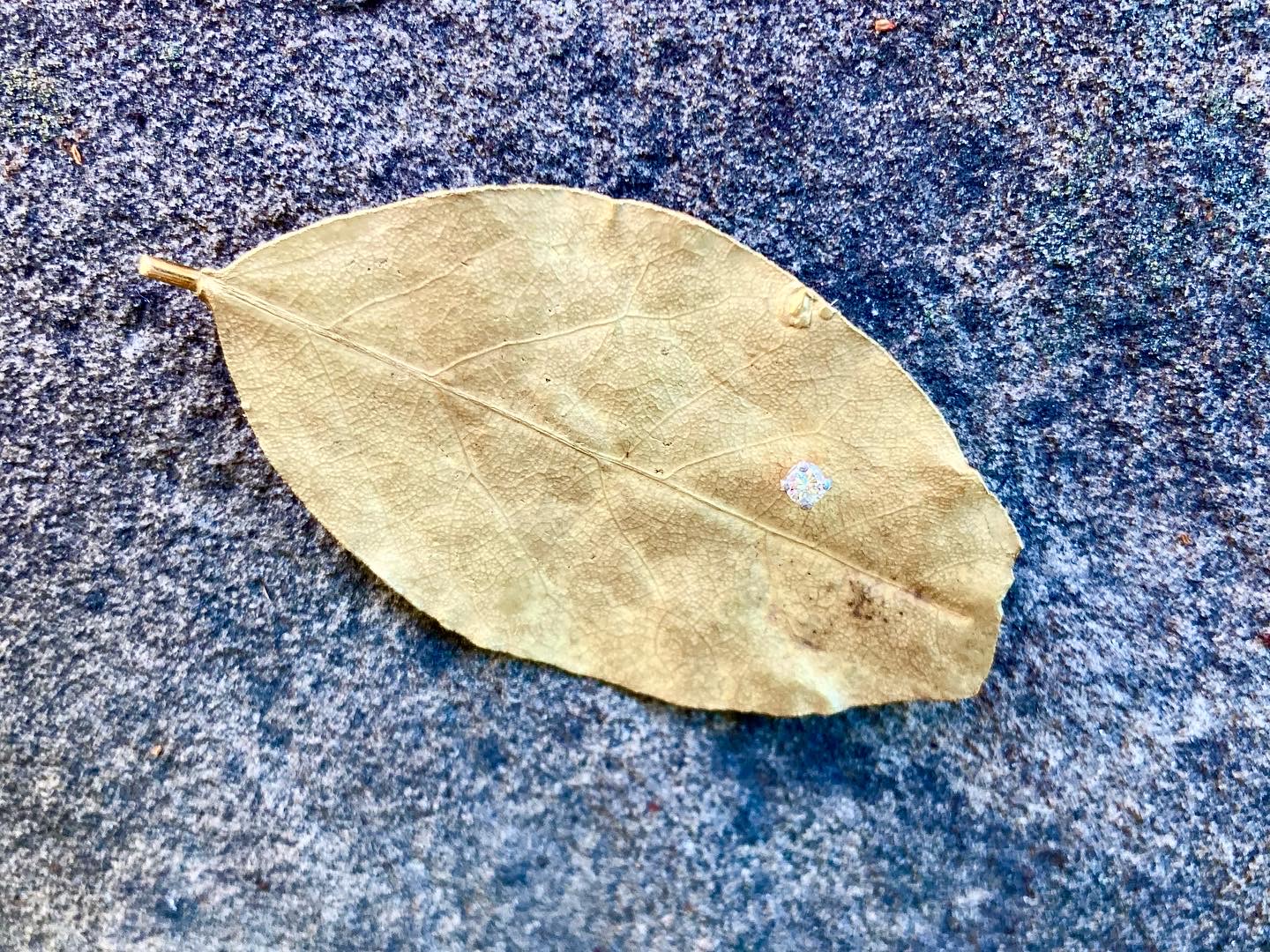 9DFB6352-776C-4299-9A17-3420AF337426