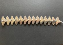 8680d791-7deb-470e-8069-ecf51d71a310